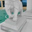 郴州 白麻花岗岩动物异形石雕-大象