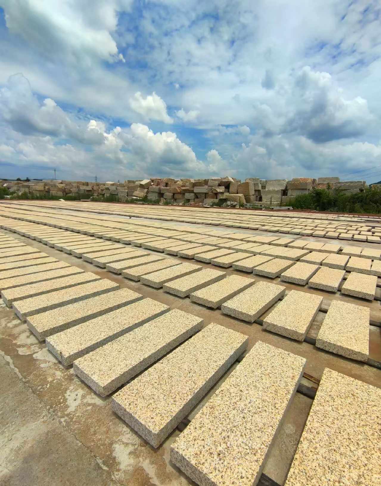 郴州 黄金麻荔枝面花岗岩石材地铺石防护中