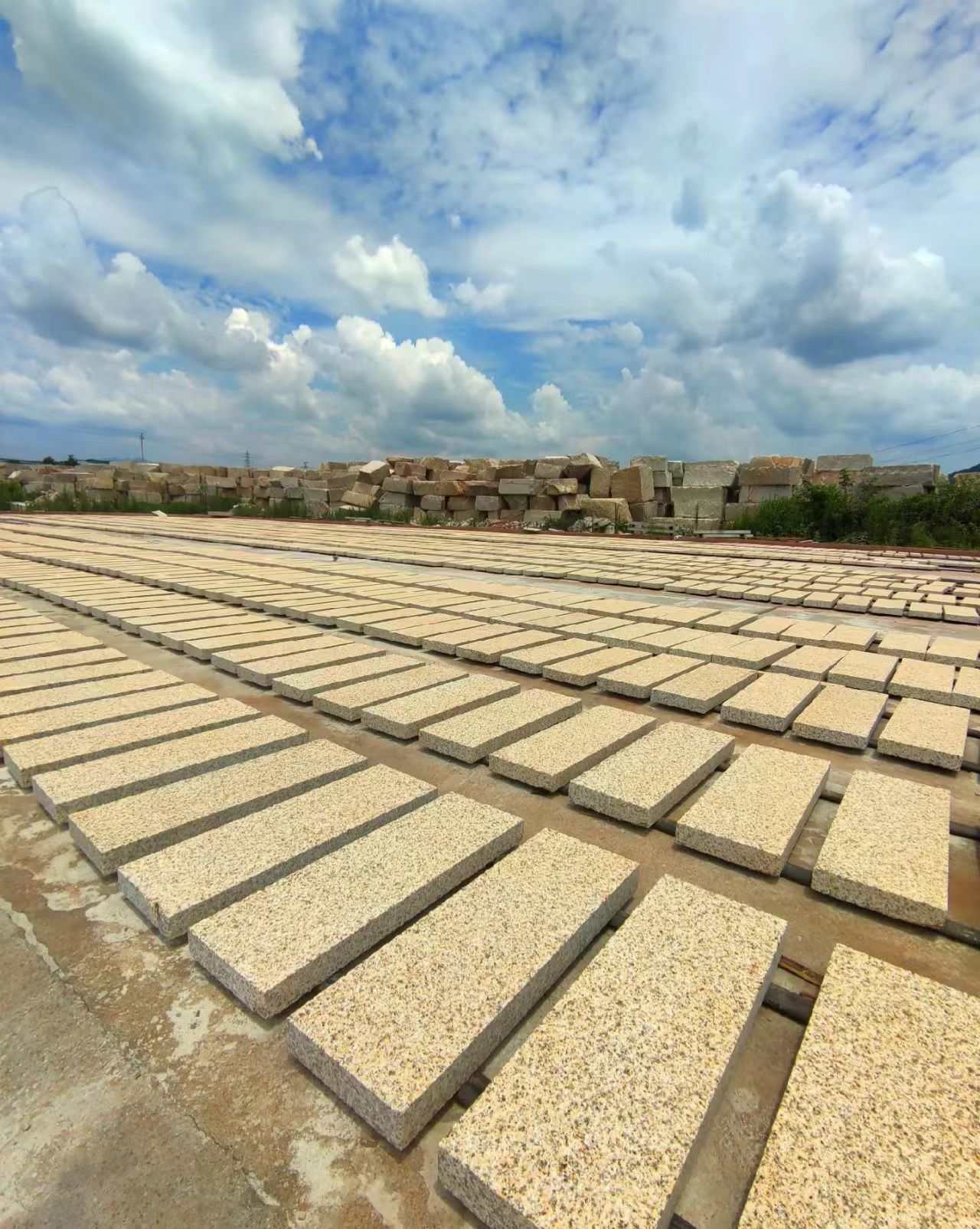 郴州 黄金麻花岗岩荔枝面地铺石防护中